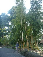 Tōkyō