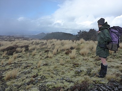 Brian on ridge looking north
Photographer;&nbsp;Simon
2016-10-29&nbsp;16.42.25;&nbsp;Metadata time: '2016 Oct 29 16:42'
Original size:&nbsp;4,608 x 3,456; 6,488 kB
Filename: 2016-10-29 16.42.25 P1010048 Simon - Brian on ridge looking north.jpeg