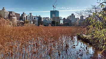 Tōkyō, Ueno