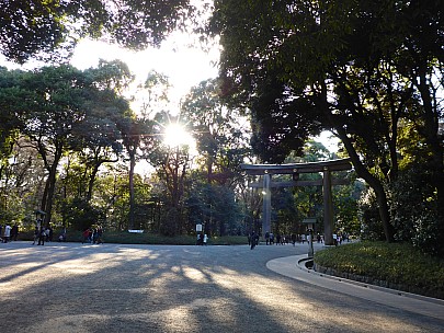 2017-01-12 15.17.33 P1010205 Simon - another Torii.jpeg: 4608x3456, 6107k (2017 Jan 28 21:46)