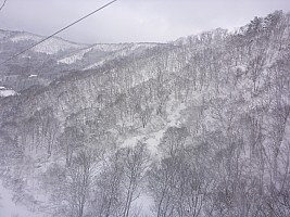 Nozawa Onsen, Jigokudani