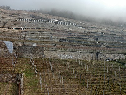 Vineyard From Train
Photographer;&nbsp;Simon
2018-01-29&nbsp;11.58.56;&nbsp;Metadata time: '2018 Jan 29 11:58'
Original size:&nbsp;4,160 x 3,120; 7,219 kB
Filename: 2018-01-29 11.58.56 LG6 Simon - vineyard from train.jpeg