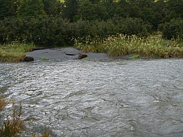 Paringa to Tunnel Creek Hut