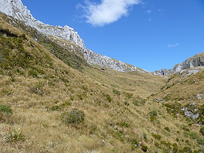 2019-01-14 16.49.19 P1000593 Jim - route up into the head of the Paringa.jpeg: 4320x3240, 4884k (2019 May 10 21:46)