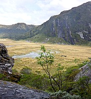 Murdock Creek to Marks Flat