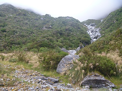 2019-01-18 19.12.10 P1000660 Jim - looking up Otoko scrub bash.jpeg: 4320x3240, 5232k (2019 May 10 21:46)