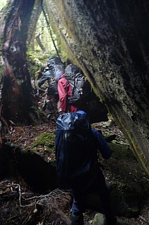 Our Route In Boulders
Photographer;&nbsp;Philip
2019-01-20&nbsp;12.54.32;&nbsp;Metadata time: '2019 Jan 20 12:54'
Original size:&nbsp;2,880 x 4,320; 4,336 kB
Filename: 2019-01-20 12.54.32 P1050781 Philip - our route in boulders.jpeg