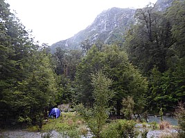 Stag Flat to Fox Glacier