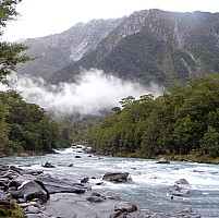 Stag Flat to Fox Glacier