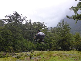Stag Flat to Fox Glacier