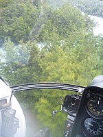 Stag Flat to Fox Glacier