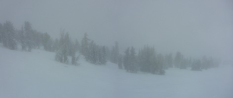 Mt Rose