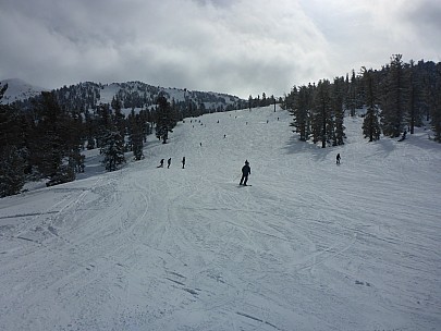 View up Orion run
Photographer;&nbsp;Simon
2019-03-04&nbsp;14.39.29;&nbsp;Metadata time: '2019 Mar 04 14:39'
Original size:&nbsp;4,608 x 3,456; 6,070 kB
Filename: 2019-03-04 14.39.29 P1020812 Simon - view up Orion run.jpeg