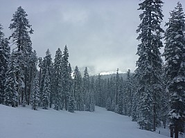 Sierra