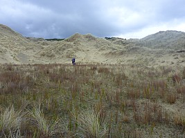 Mason Bay to Doughboy Bay