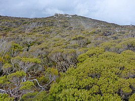 Mason Bay to Doughboy Bay