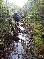 Mason Bay to Doughboy Bay