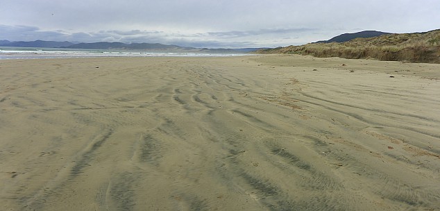 Mason Bay north
Photo: Simon
2019-11-10 09.21.05; '2019 Nov 10 09:21'
Original size: 7,087 x 3,400; 20,001 kB; stitch
2019-11-10 09.21.05 Panorama Simon - Mason Bay north_stitch.jpg