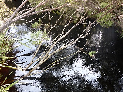 Dark Rakeahua River
Photographer;&nbsp;Simon
2019-11-11&nbsp;17.26.07;&nbsp;Metadata time: '2019 Nov 11 17:26'
Original size:&nbsp;4,608 x 3,456; 6,268 kB
Filename: 2019-11-11 17.26.07 P1020955 Simon - dark Rakeahua River.jpeg