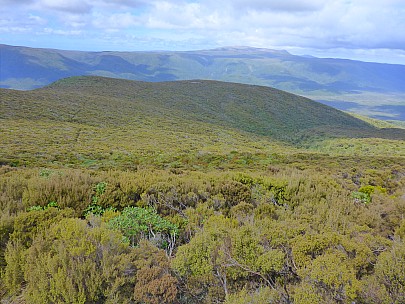 Looking Back Down Track
Photographer;&nbsp;Simon
2019-11-12&nbsp;11.16.12;&nbsp;Metadata time: '2019 Nov 12 11:16'
Original size:&nbsp;4,608 x 3,456; 6,596 kB
Filename: 2019-11-12 11.16.12 P1020967 Simon - looking back down track.jpeg