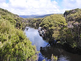 Freds Camp Hut to Freshwater Hut