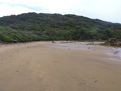 West End Beach
Photo: Jim
2019-11-16 11.26.44; '2019 Nov 16 11:26'
Original size: 4,320 x 3,240; 4,790 kB
2019-11-16 11.26.44 P1000801 Jim - West End Beach.jpeg