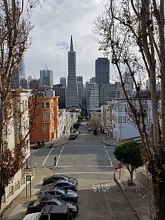 Montgomery Street to Transamerica Tower
Photographer;&nbsp;Jim
2020-02-28&nbsp;15.24.12;&nbsp;Metadata time: '2020 Feb 28 15:24'
Original size:&nbsp;3,024 x 4,032; 5,402 kB
Filename: 2020-02-28 15.24.12 GS8 Jim - Montgomery Street to Transamerica Tower.jpeg