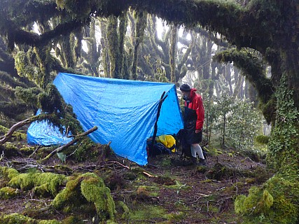 Tarpaulin fly camp
Photographer;&nbsp;Simon
2021-01-23&nbsp;08.04.10;&nbsp;Metadata time: '2021 Jan 23 08:04'
Original size:&nbsp;4,608 x 3,456; 6,378 kB
Filename: 2021-01-23 08.04.10 P1030518 Simon - Tarpaulin fly camp.jpeg
