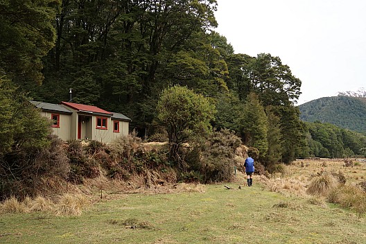 Hope Kiwi Lodge to Three Mile Stream Hut