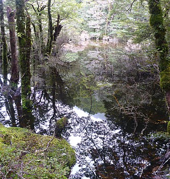 Three Mile Stream Hut to Hurunui Hut