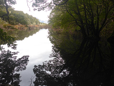 Three Mile Stream Hut to Hurunui Hut