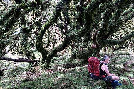 Simon resting under a mossy tree
Photographer;&nbsp;Brian
2021-12-10&nbsp;15.28.05;&nbsp;Metadata time: '2021 Dec 10 15:28'
Original size:&nbsp;5,472 x 3,648; 13,362 kB
Filename: 2021-12-10 15.28.05 IMG_0150 Brian - Simon resting under a mossy tree.jpeg