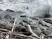 Oneone beach rocks and surf
Photo: Susie
2022-03-06 13.48.46; '2022 Mar 06 13:48'
Original size: 4,032 x 3,024; 2,147 kB
2022-03-06 13.48.46 IMG_2718 Susie - Oneone beach rocks and surf.jpeg