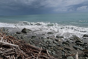 Mananui Bush, Mahinapua, Wanganui River, Oneone