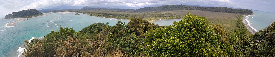 Mananui Bush, Mahinapua, Wanganui River, Oneone