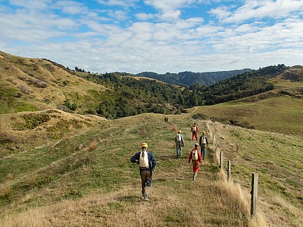 Walking to Rimu
Photographer;&nbsp;Peter Baxter
2022-04-16&nbsp;10.43.02
Original size:&nbsp;4,000 x 3,000; 8,769 kB
Filename: 2022-04-16 10.43.02 P4160002-1 Peter Baxter - walking to Rimu.jpeg