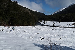 Tramp Hurunui River from Hurunui #3 Hut to Camerons Hut and beyond return Tramp Hurunui River from Hurunui #3 Hut to Camerons Hut and beyond return