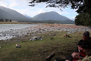 Hurunui #3 Hut to Hurunui Hut Hurunui #3 Hut to Hurunui Hut