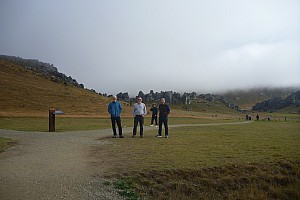 Wellington to Fox Glacier