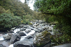 Moeraki River, Middle Head Hut to Blue River Hut