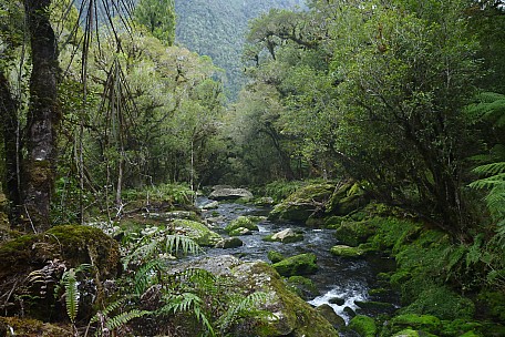 Mossy Creek
Photographer;&nbsp;Philip
2023-04-17&nbsp;13.40.28;&nbsp;Metadata time: '2023 Apr 17 13:40'
Original size:&nbsp;4,320 x 2,880; 5,010 kB
Filename: 2023-04-17 13.40.28 P1070071 Philip -  mossy creek.jpeg