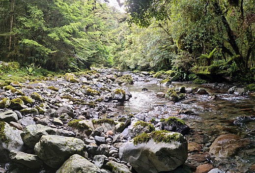 Ōtaki River
Photo: Simon
2024-01-03 07.43.35; '2024 Jan 03 07:43'
Original size: 12,878 x 8,741; 25,756 kB; stitch
2024-01-03 07.43.35 S20+ Simon - Ōtaki River_stitch.jpg