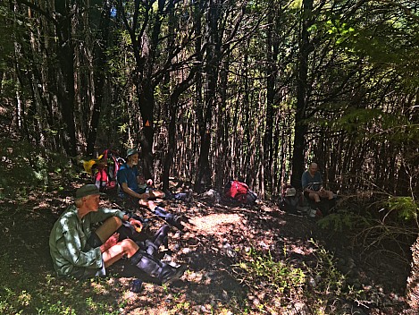 Lunch stop on the way up the Branch
Photo: Simon
2024-01-31 12.15.52; '2024 Jan 31 12:15'
Original size: 9,248 x 6,936; 17,037 kB; adj
2024-01-31 12.15.52 S20+ Simon - lunch stop on the way up the Branch_adj.jpeg