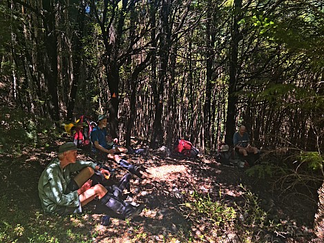 Lunch stop on the way up the Branch
Photo: Simon
2024-01-31 12.15.52; '2024 Jan 31 12:15'
Original size: 9,248 x 6,936; 17,037 kB; adj