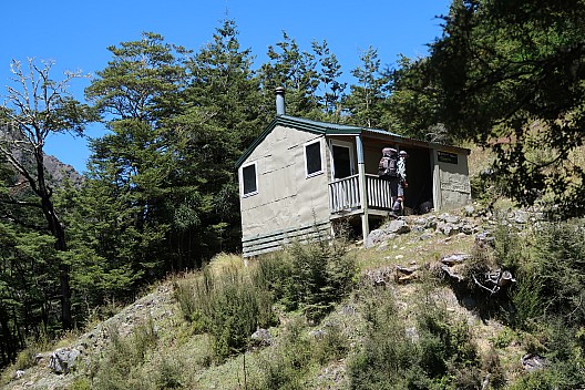 Bruce arriving at Bottom Misery Hut
Photo: Brian
2024-01-31 13.20.07; '2024 Jan 31 13:20'
Original size: 5,472 x 3,648; 13,069 kB
2024-01-31 13.20.07 IMG_1066 Brian - Bruce arriving at Bottom Misery Hut.jpeg
