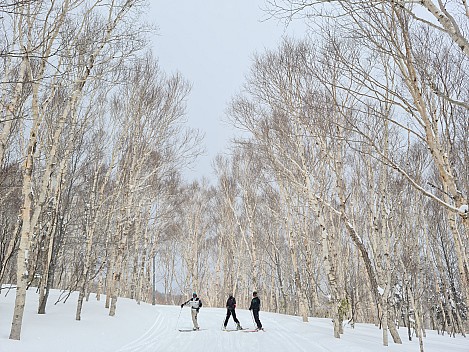 Jim, Adrian, and Kevin on Yakebitaiyama E2 course
Photo: Simon
2024-03-02 12.17.01; '2024 Mar 02 16:17'
Original size: 9,248 x 6,936; 25,721 kB
2024-03-02 12.17.01 S20+ Simon - Jim, Adrian, and Kevin on Yakebitaiyama E2 course.jpeg Jim, Adrian, and Kevin on Yakebitaiyama E2 course
Photo: Simon
2024-03-02 12.17.01; '2024 Mar 02 16:17'
Original size: 9,248 x 6,936; 25,721 kB
2024-03-02 12.17.01 S20+ Simon - Jim, Adrian, and Kevin on Yakebitaiyama E2 course.jpeg