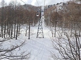 At the Prince Hotel East Wing skiing at Okushiga Kōgen
View up the Okushiga Kōgen Gondola
Photo: Simon
2024-03-03 13.53.38; '2024 Mar 03 13:53'
Original size: 8,463 x 6,347; 21,422 kB; str