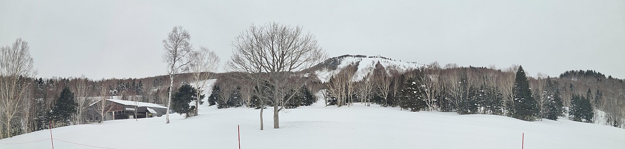 View Out My Window
Photographer;&nbsp;Simon
2024-03-06&nbsp;07.17.31;&nbsp;Metadata time: '2024 Mar 06 07:18'
Original size:&nbsp;17,105 x 4,101; 6,622 kB;&nbsp;stitch
Filename: 2024-03-06 07.17.31 S20+ Simon - view out my window_stitch.jpg