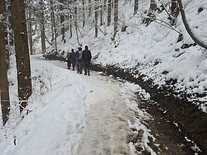 Path to the Snow Monkey Park
Photo: Adrian
2024-03-06 12.07.33; '2024 Mar 06 12:07'
Original size: 9,248 x 6,928; 12,048 kB
2024-03-06 12.07.33 S20+ Adrian - Path to the Snow Monkey Park.jpeg