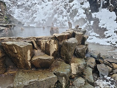 Snow Monkey Onsen
Photographer;&nbsp;Adrian
2024-03-06&nbsp;13.02.31;&nbsp;Metadata time: '2024 Mar 06 13:02'
Original size:&nbsp;9,248 x 6,928; 19,864 kB
Filename: 2024-03-06 13.02.31 S20+ Adrian - Snow Monkey Onsen.jpeg
